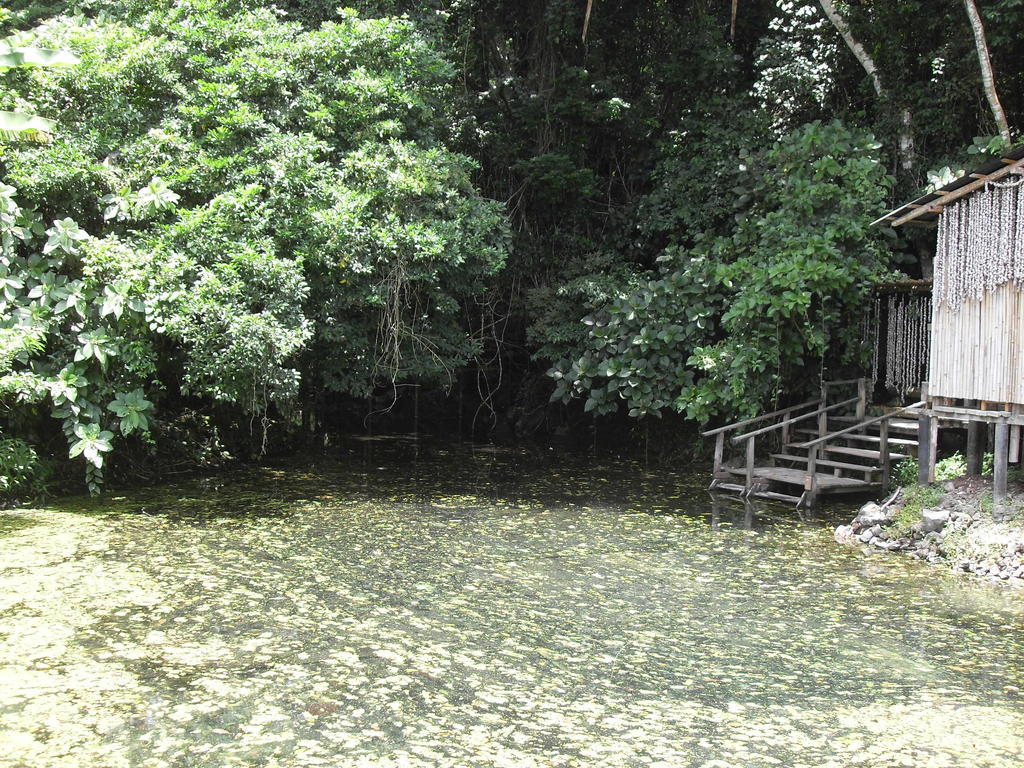 Reserva Ecologica Nanciyaga Catemaco Exterior foto